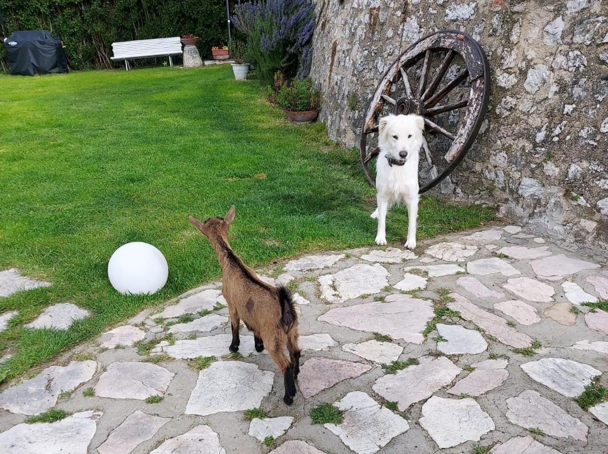 Willa Campagna In Compagnia Vallo di Nera Zewnętrze zdjęcie